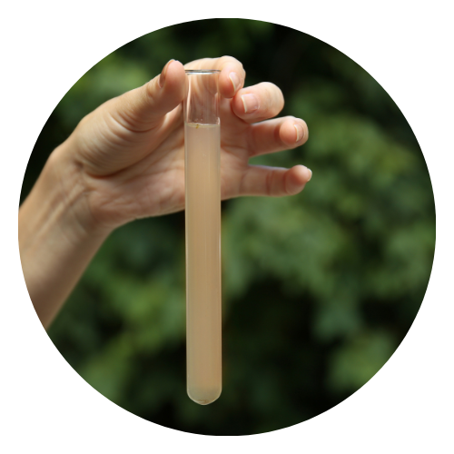 Water Quality Testing | Hydro Bioscience Algae Management and Water Quality Monitoring Products