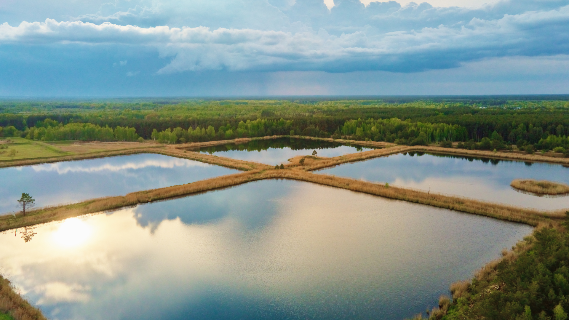 Hydro Bioscience algae management and water quality monitoring products help Agricultural Irrigation and Livestock Ponds
