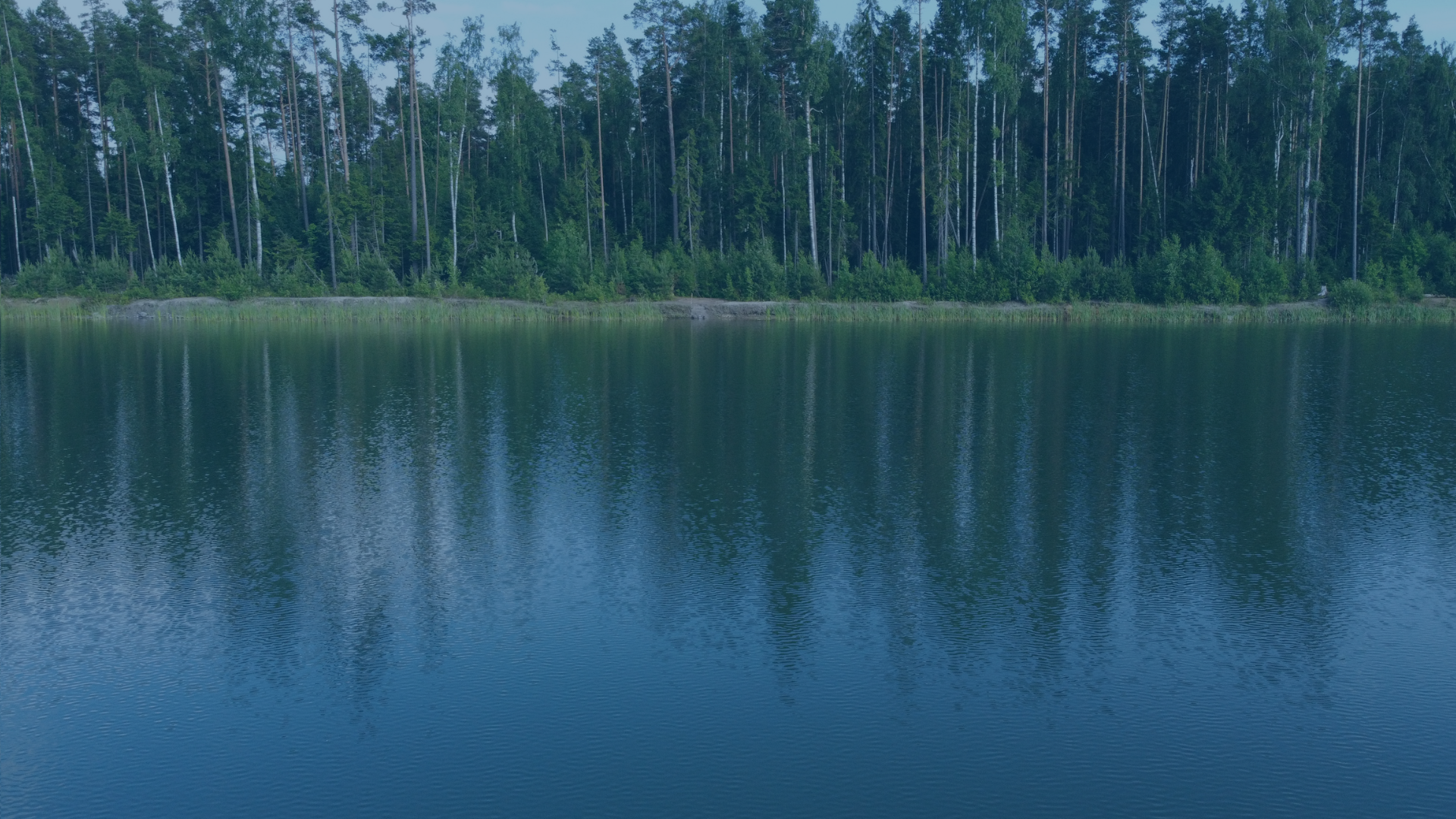 Hydro Bioscience algae management and water quality monitoring products case study.